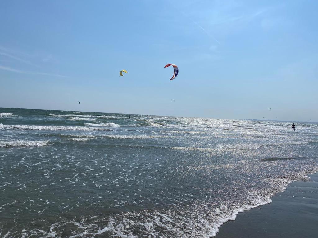 Emi Apartment Mamaia Năvodari 외부 사진
